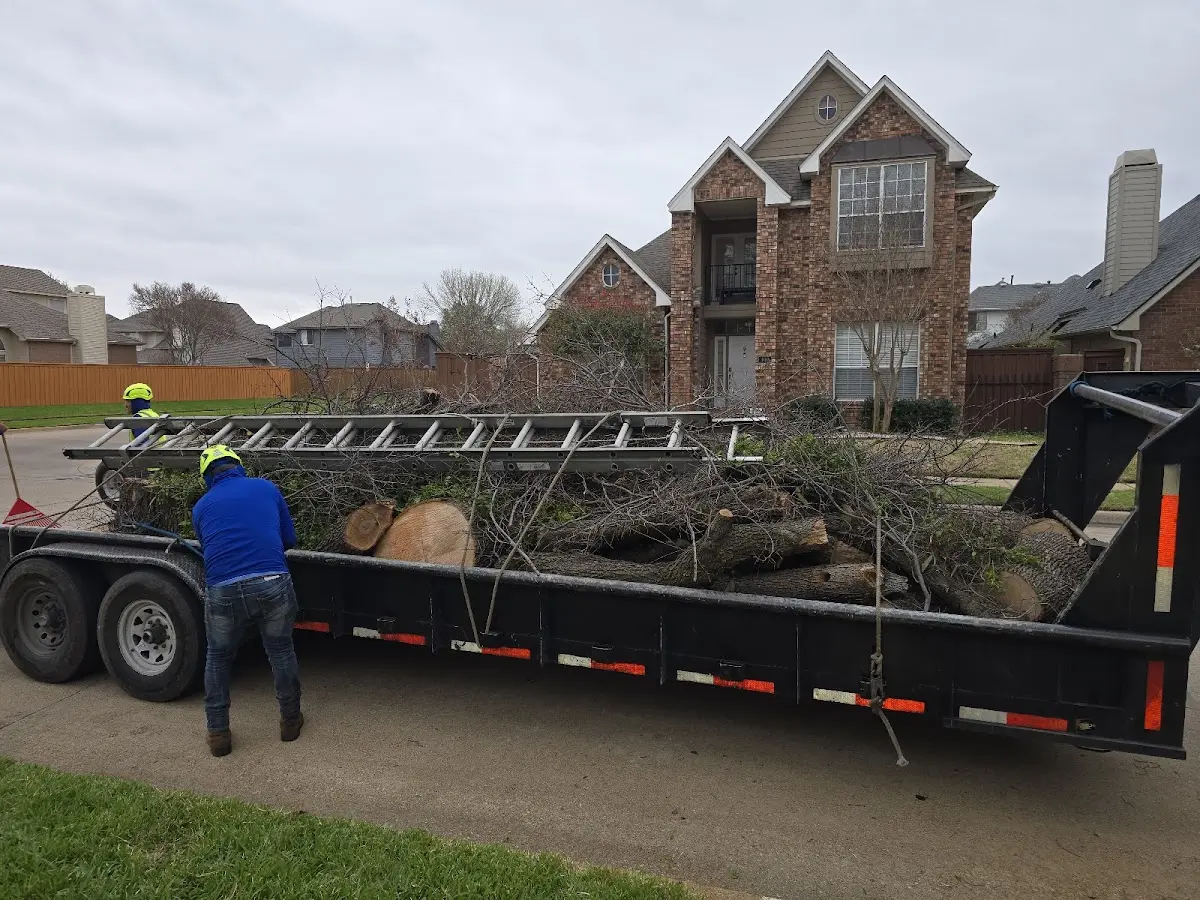 Expert Tree Fertilization with proper safety equipment in Edina